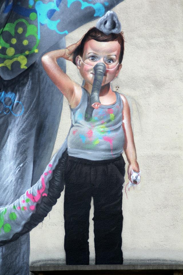 Https Www Dw Com En Generation Gap Divides Interest In Fall Of