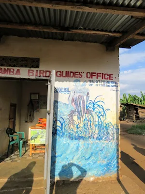 Mabamba Bird Guides Office in Uganda