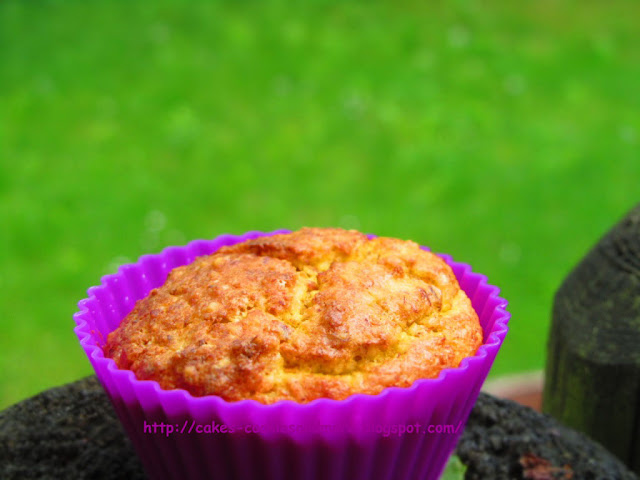 Rüeblimuffins (Karottenmuffins) mit Stevia