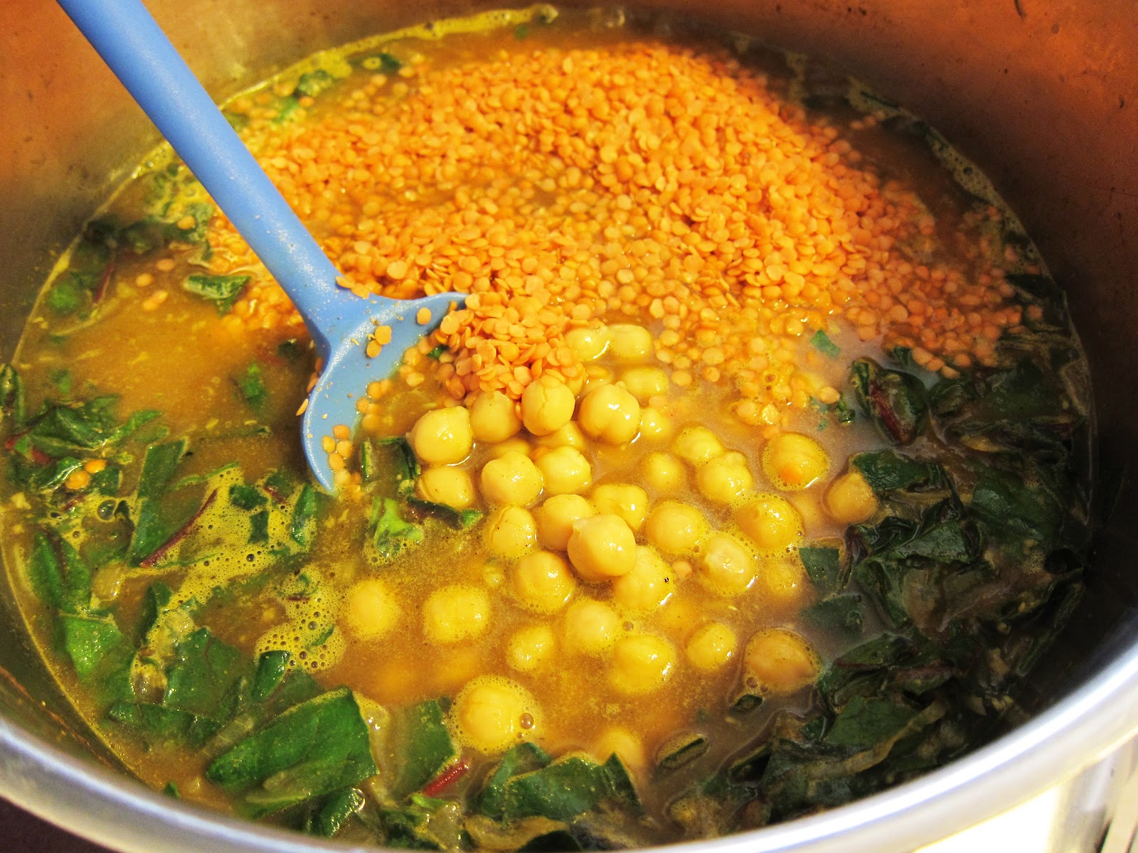 Bloatal Recall Curried Red Lentil and Swiss Chard Stew with Garbanzo Beans