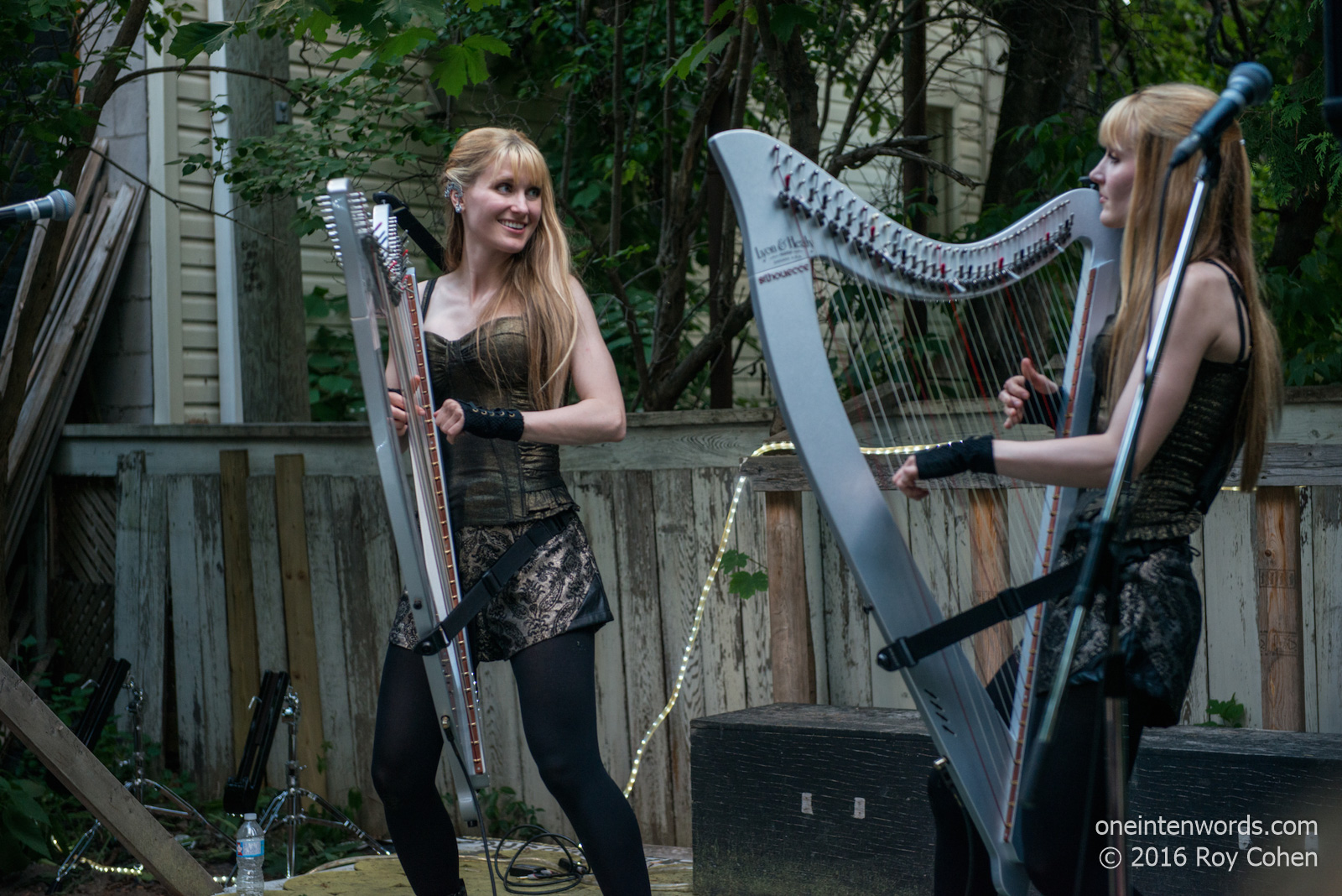 one in ten words The Harp Twins at 159 Manning Concert Pictures