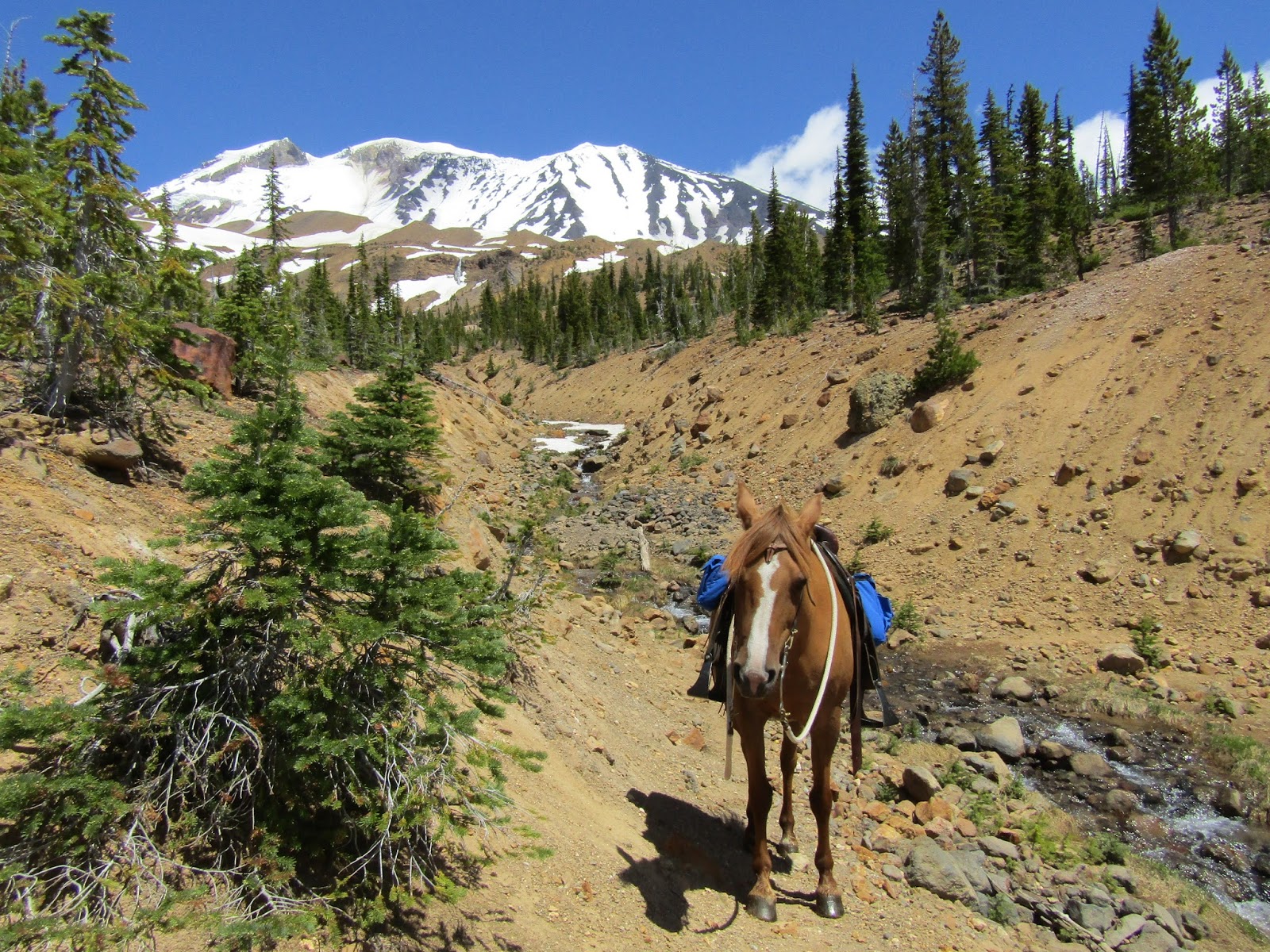 Holly's Horse Tales and Trails Mt. Adams Horse Camp, Washington