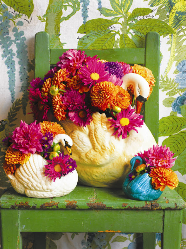 PALADINES EDICIÓN GLOBAL En la tienda de la florista más influyente