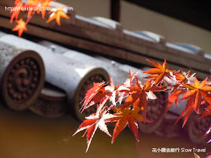 關西早楓地點 如果 10 月下旬或 11 月上旬會去關西,而由希望看到紅葉的話,可以去以下地方碰碰運氣,注意每年紅葉時期略有不同。 2014年10月紅葉情況參考: 2014年10月京都奈良紅葉速報 NEW 2013 年因為天氣較熱,使楓葉在初期較遲變色,但關西地區...