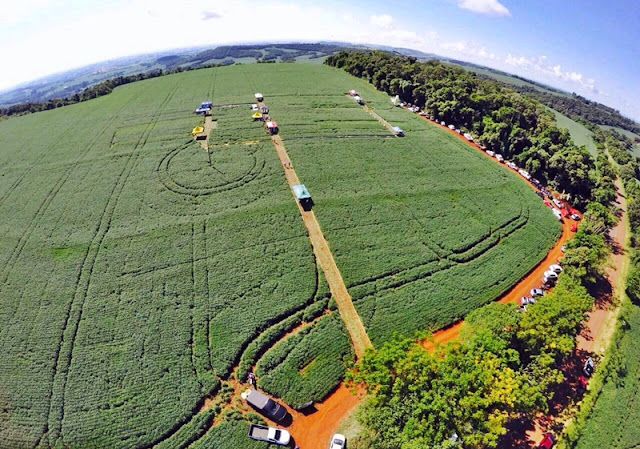Agroexata organiza "III Manhã de Campo", realizada na Fazenda Maringá