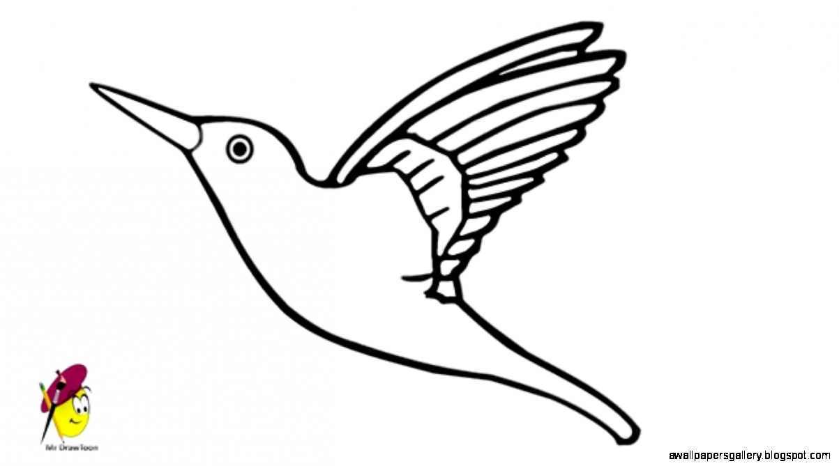 Simple Hummingbird Drawing