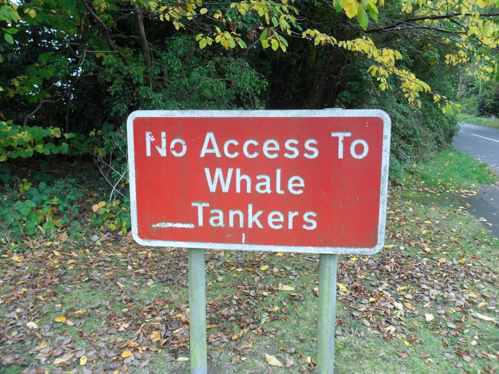 Where I belong. Catherine de Barnes.