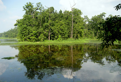 Main body of Bis Hajari Taal with beautiful reflection of the trees