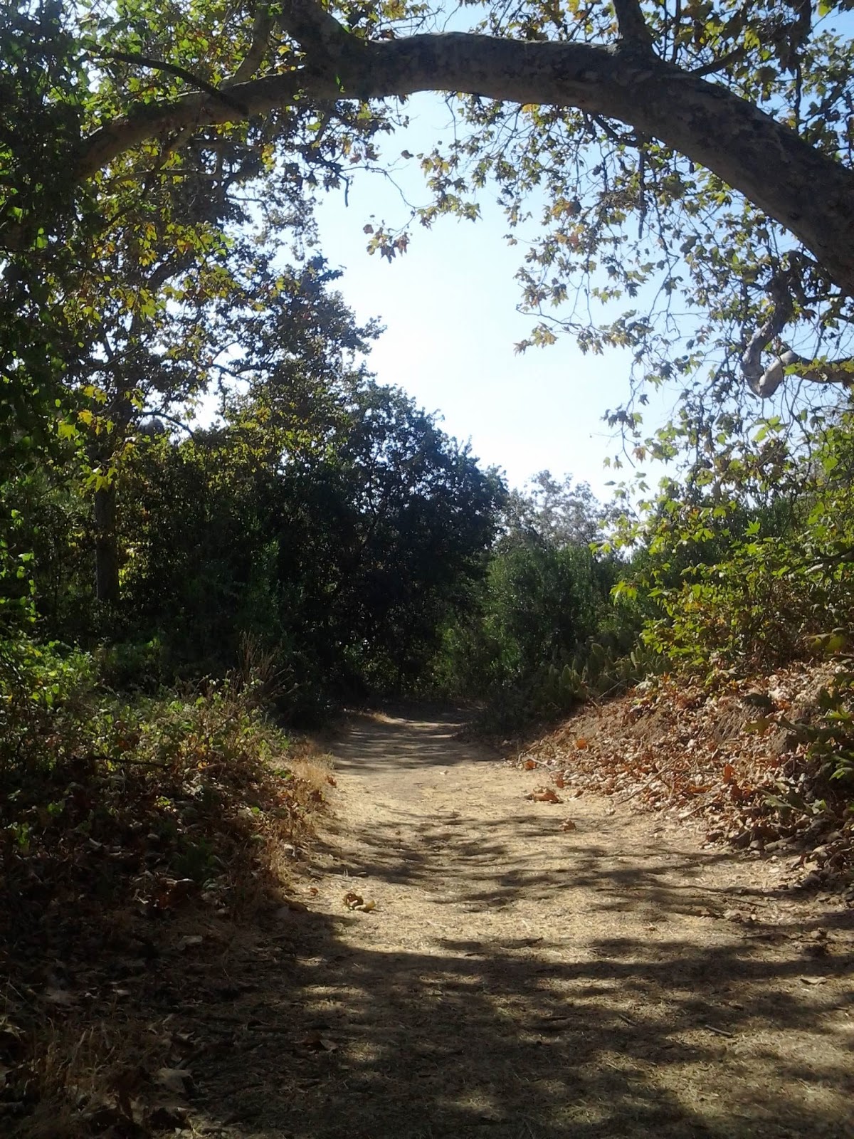 Sycamore Canyon School >> Hiking Around Turnbull Canyon Trail Whittier, CA Sycamore Canyon School >> Hiking Around Turnbull Canyon Trail Whittier, CA