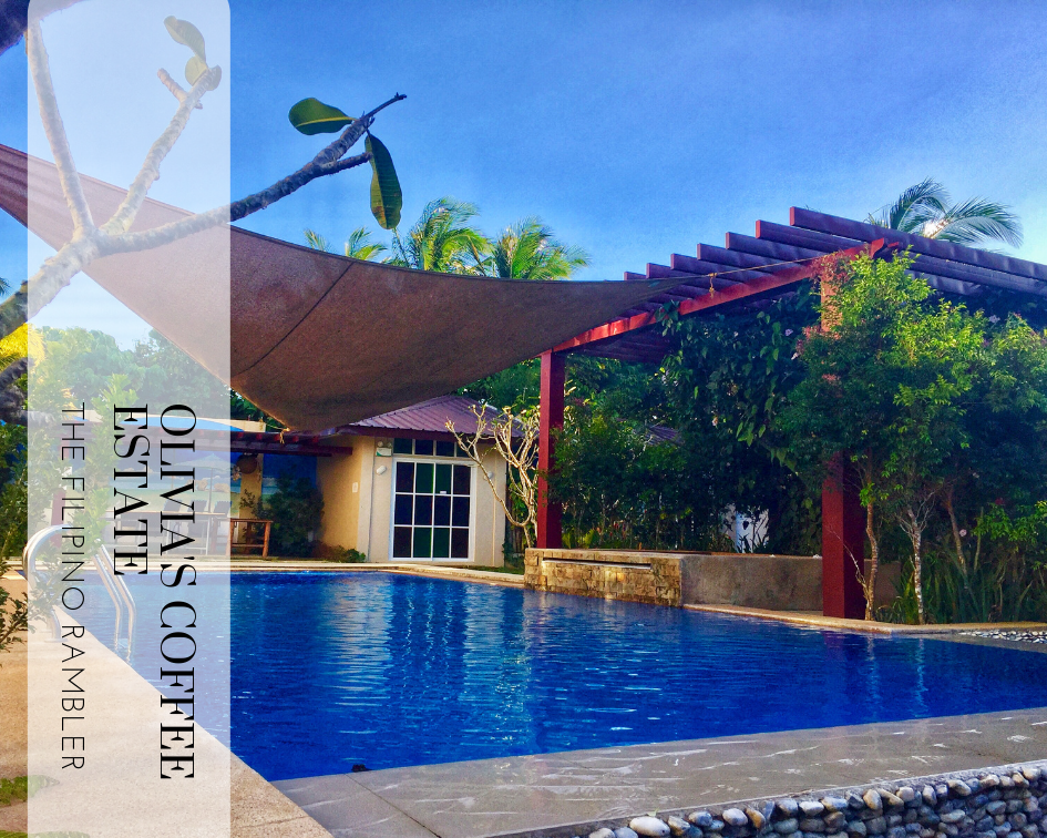 Where to go to in Amadeo Cavite Olivia's Coffee Estate The Filipino