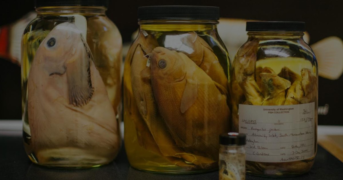 FIXATION AND PRESERVATION