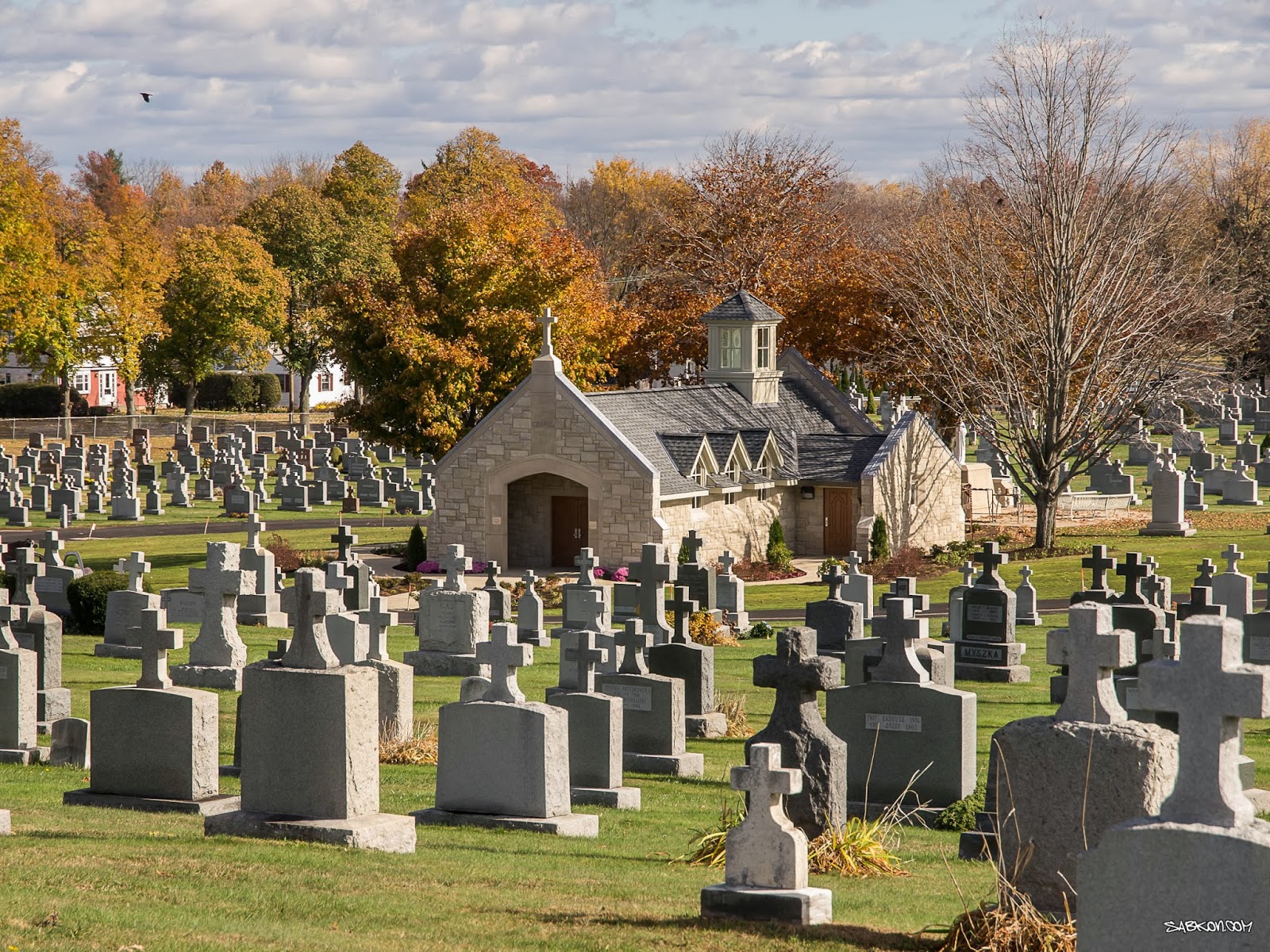 BLOG FOTOGRAFICZNY Sacred Heart Cemetery, New Britain