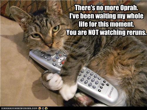 Meta Watershed: LOLCATS WEEKLY ROUND-UP FOR 21 JUNE 2011