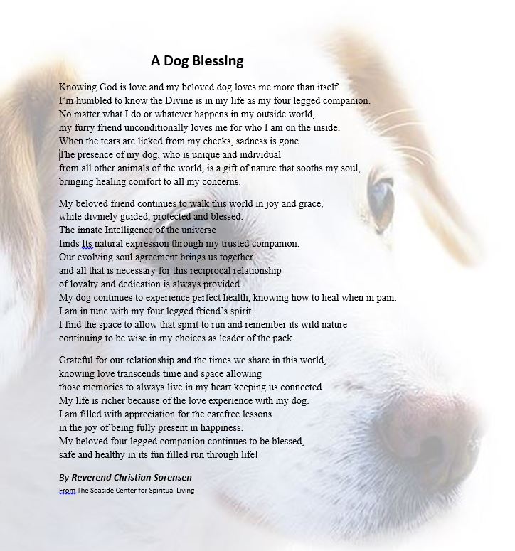 Christian Sorensen Inspires A Dog Blessing