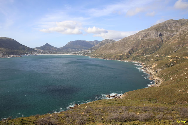 Ciudad del Cabo y Garden Route - Blogs de Sudáfrica - 21-11-18. Península del Cabo. (7)