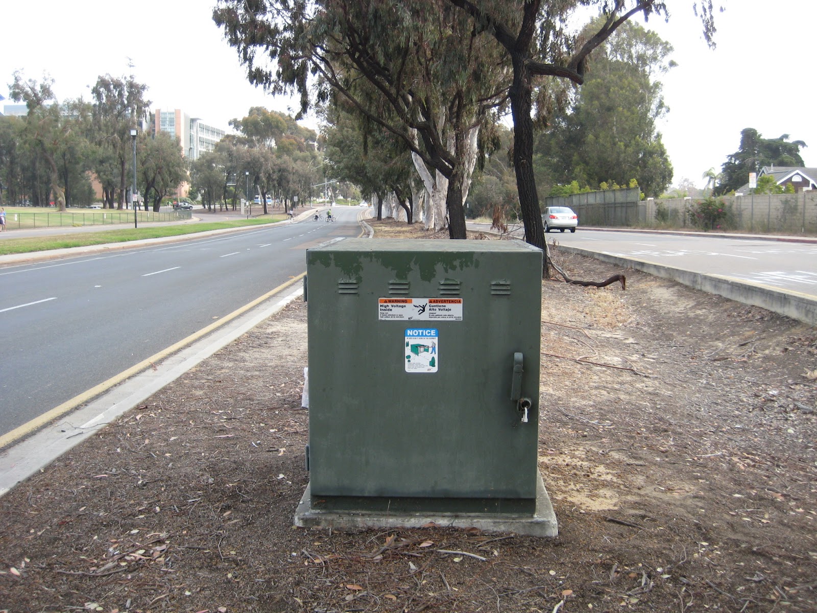 Martina Lo Electrical Box Art Project