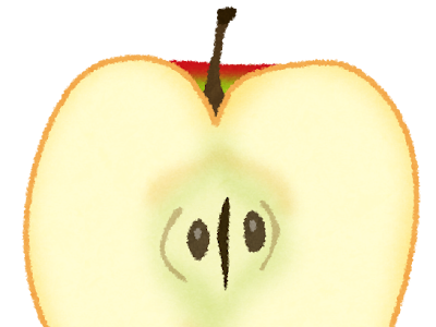 [最も選択された] りんご 断面 イラスト 465061-りんご 断面 イラスト
