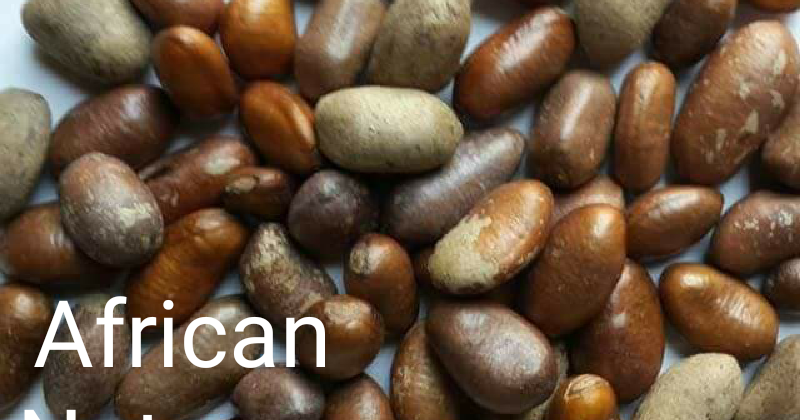 Weightloss Benefits Of African Nutmeg