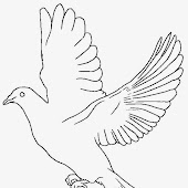Gambar Burung Merpati Untuk Kolase Gambarkolase
