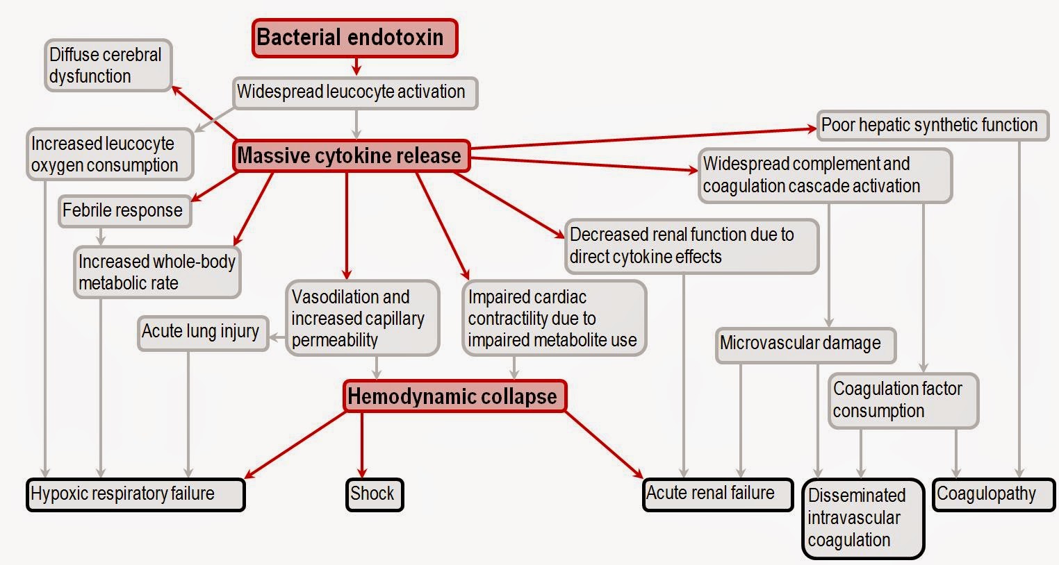The Health Website : Septic Shock