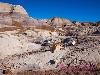 Petrified-Forest-National-Park-石化森林國家公園-Badlands