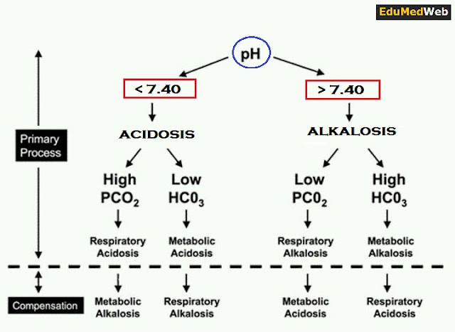 ABG-interpretation-in-4-easy-steps