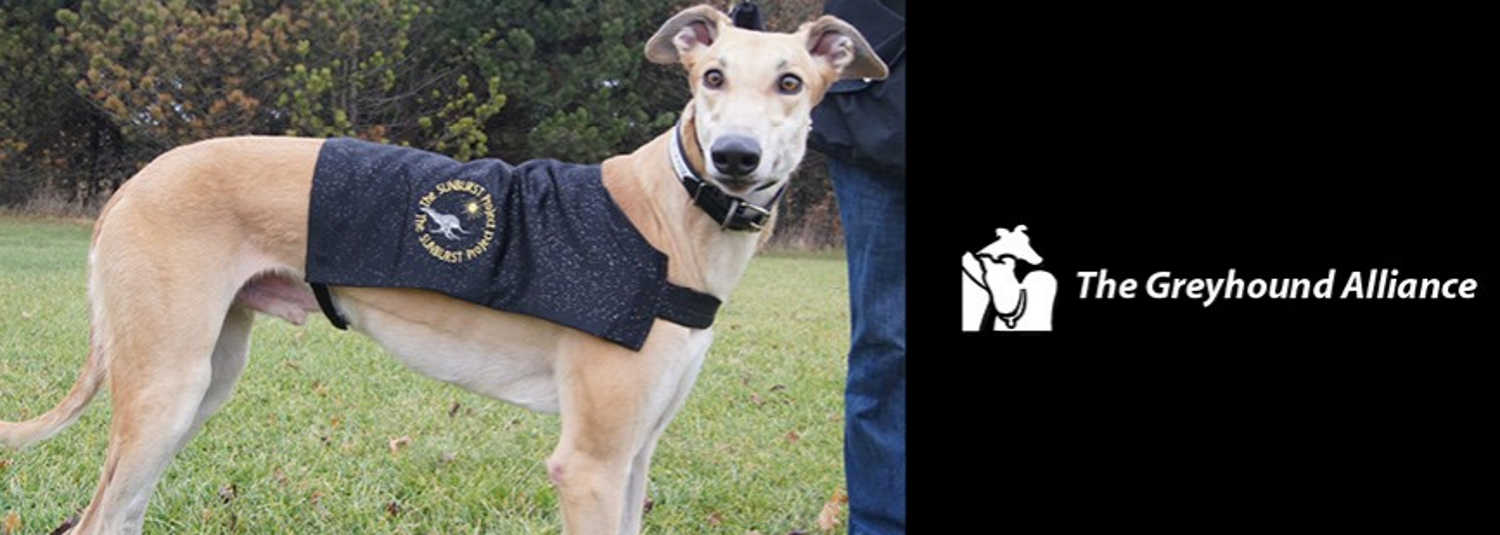 Handmade 4 Hounds September 2012