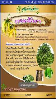 thai herb juice,thai herb seeds,thai herb bone broth,thai herb salad recipe,thai herb ball,thai herb plants,thai herb salad,thai herb sauce,thai herb kitchen,thai herb bistro,