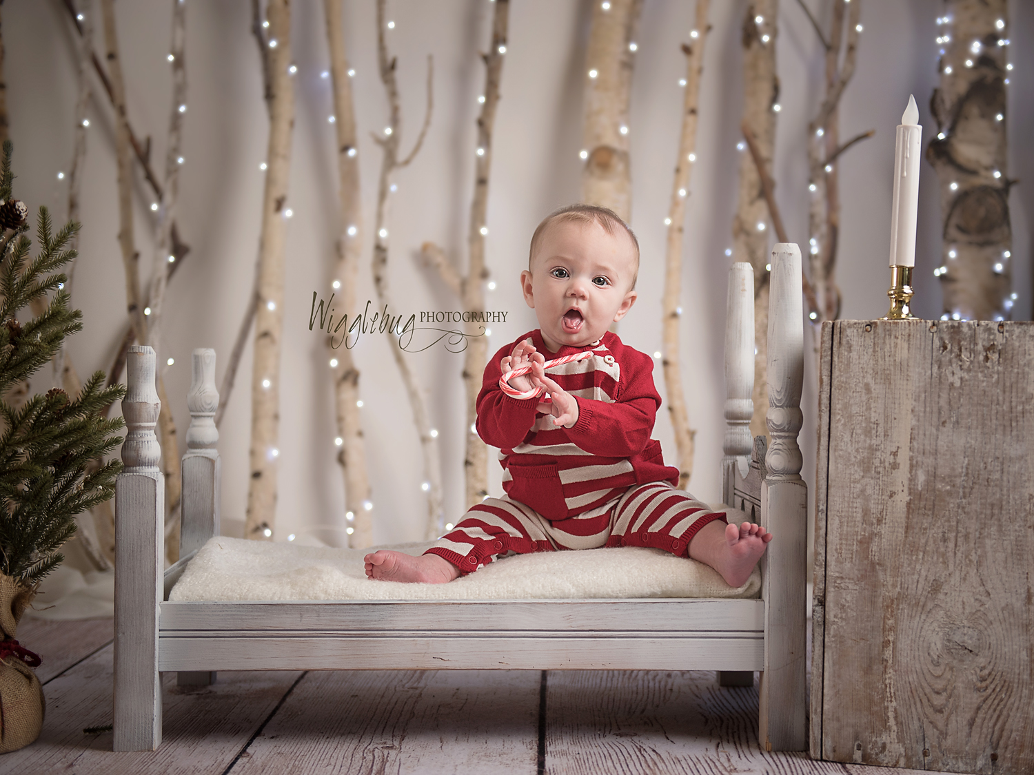 2018 Christmas Mini Sessions Wigglebug Photography Newborn