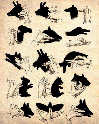 Animasi Bayangan Gambar Hewan Animasi Bayangan Gambar Hewan