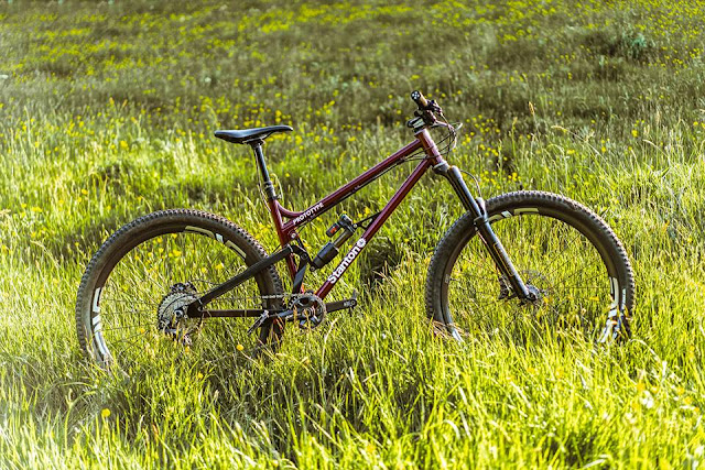 stanton 29er