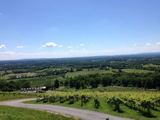 View from Bluemont vineyard
