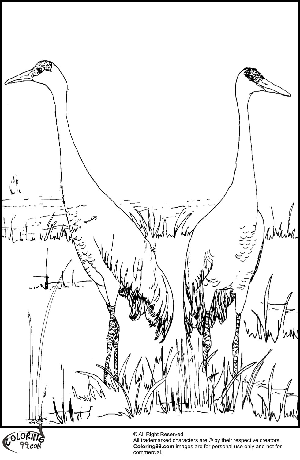 Stork Coloring Pages | Team colors