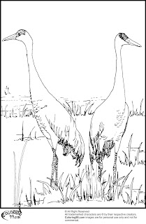 couple of stork coloring pages