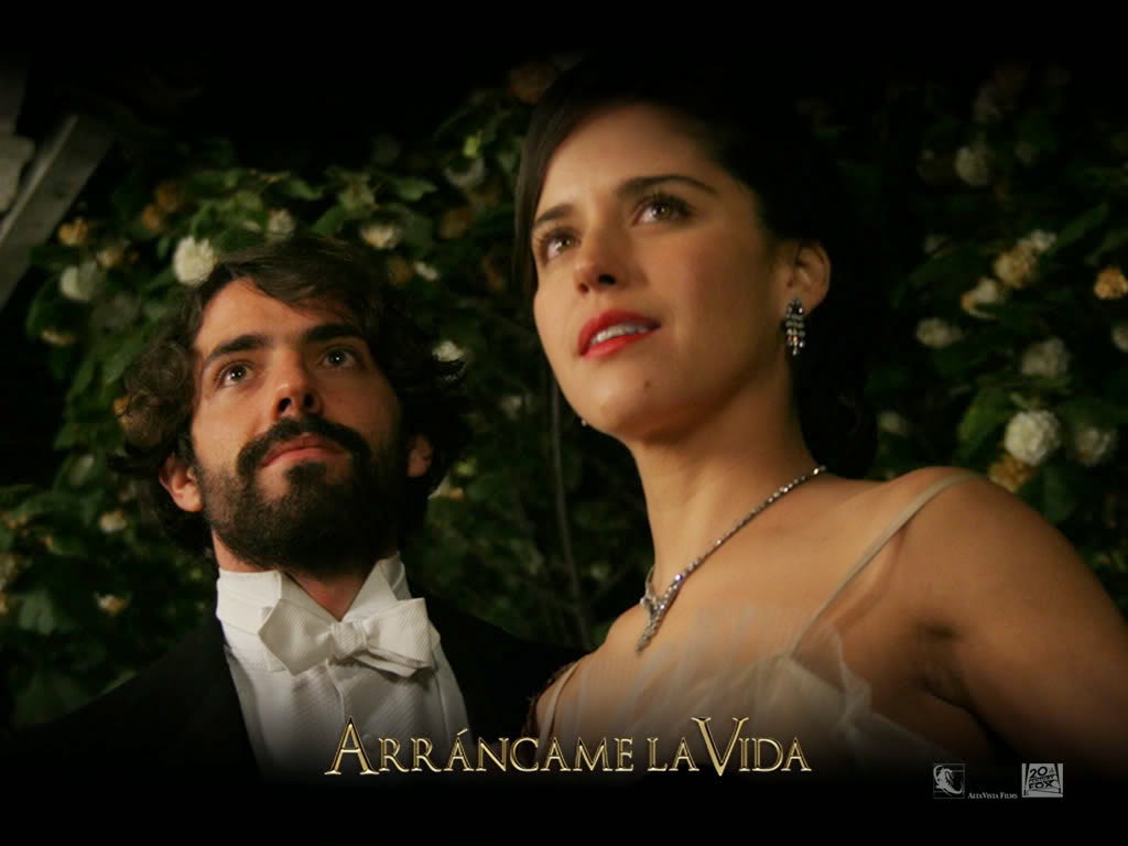 Arráncame la vida (Reseña) Lector promedio.