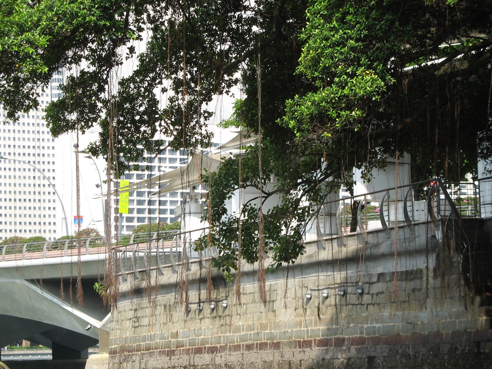 This Legendary Location Behind 802 Is Turning Heads Across the Country