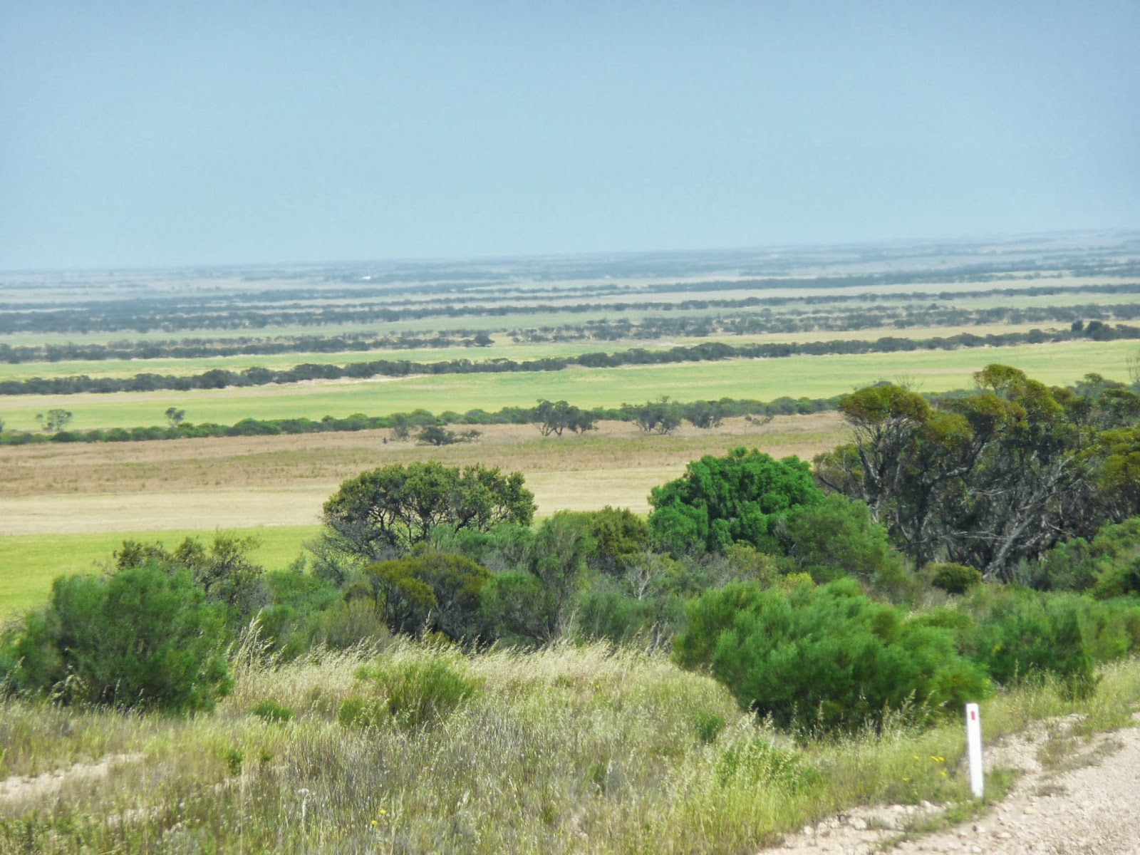 MobileMarshies PORT AUGUSTA STREAKY BAY (3 OCTOBER 2013)