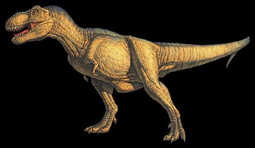 The Natural World: The Biggest Carnivorous Dinosaur Part 1: Move Over, T-Rex (Kind Of)