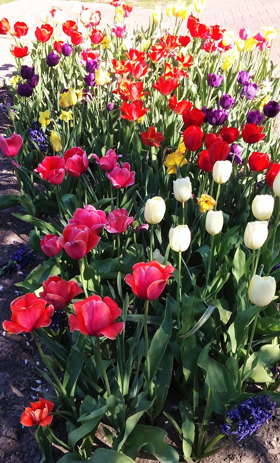 Sweet Home Indiana Sunday in the Park