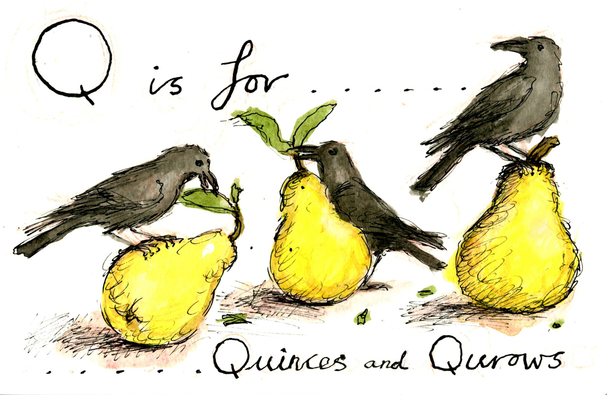 plot 52 Allotment Alphabet Q