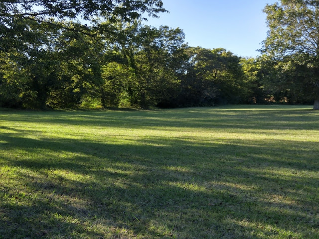 Our land has lots of trees and green space 