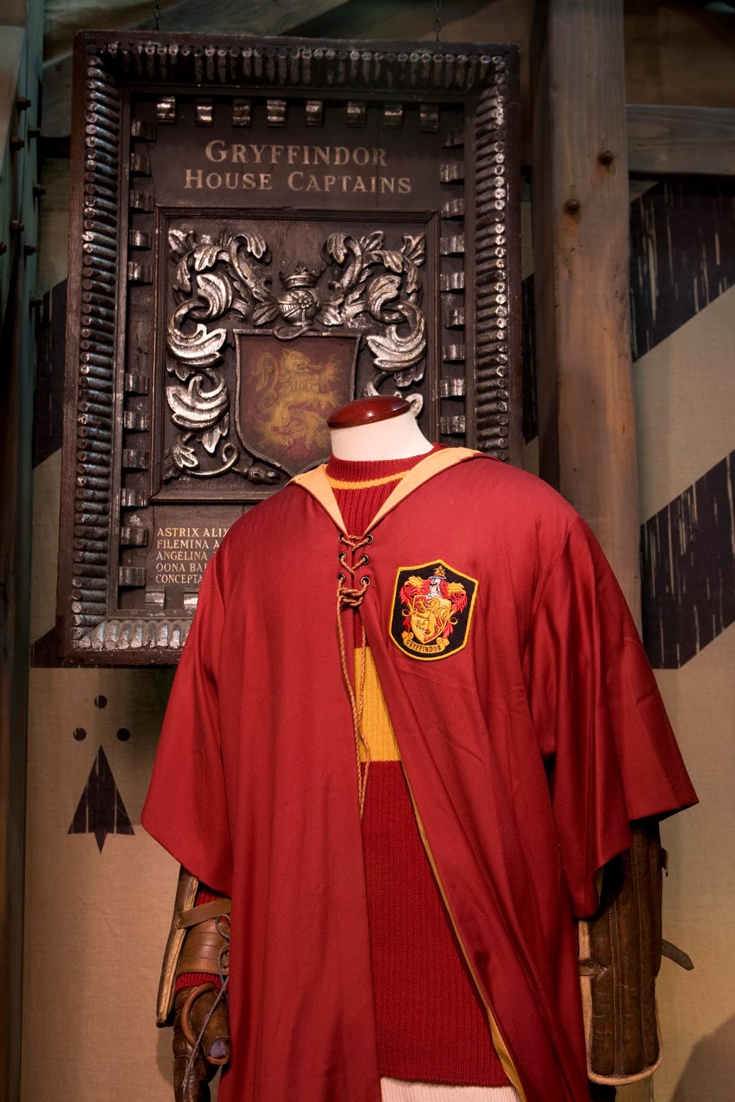 гриффиндор квиддич. Gryffindor quidditch. мантия квиддич. гриффиндор команда по квиддичу. команда квиддича гриффиндор.