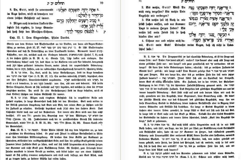 PDF The Talmud A Biography