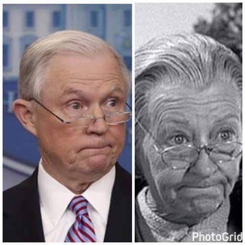 Image result for jeff sessions charlie brown