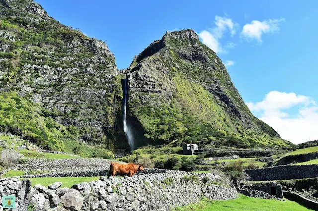 Cascada Poço do Bacalhau, isla de Flores (Azores)