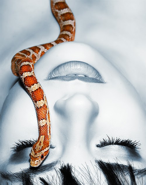 Bewitching Names Nagini bewitching-names-nagini