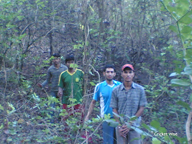 Our jungle adventure
