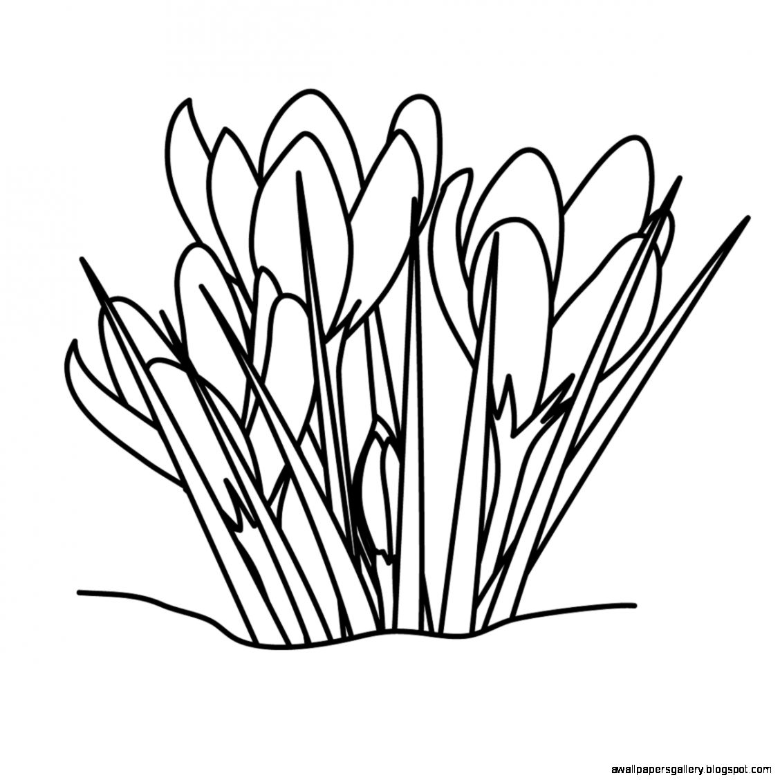 Cross with Easter Lilies Clip Art   Black and White   Religious