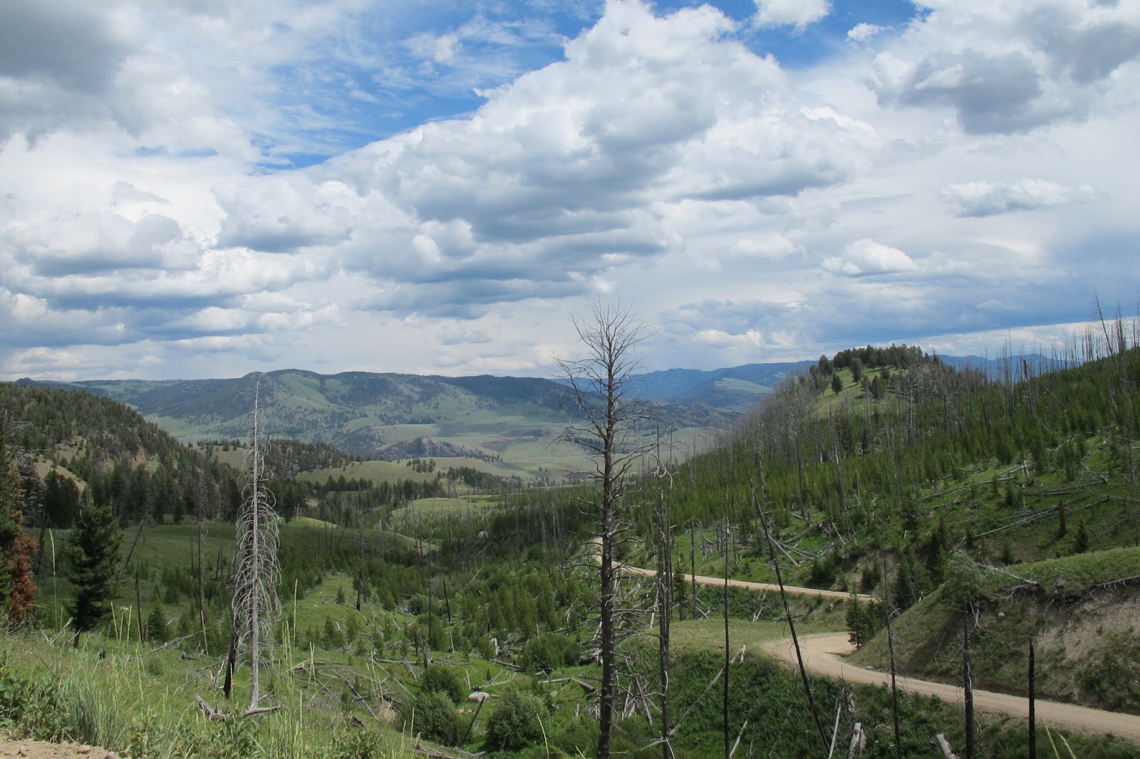 Empty Byways Empty Byway 3 Blacktail Plateau Drive, Yellowstone