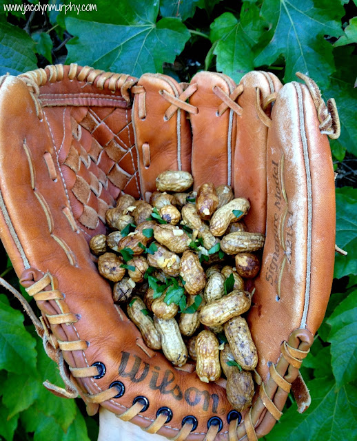 Jac o' lyn Murphy Nuts for Baseball